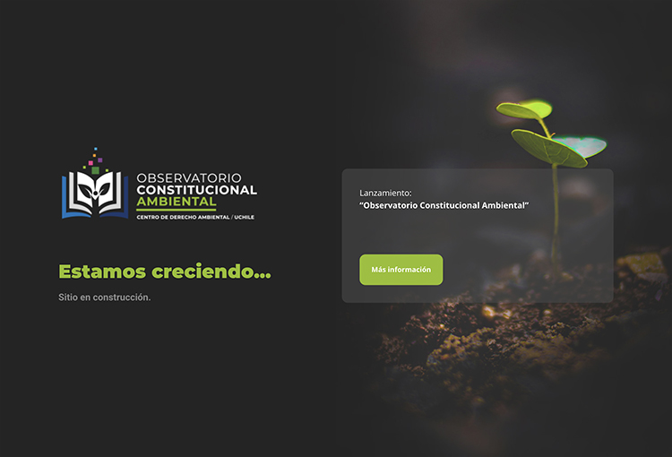 Lanzan Observatorio Constitucional Ambiental para apoyar el debate constituyente