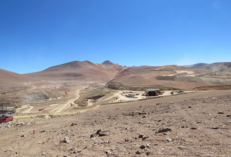 SMA dicta medidas urgentes y transitorias contra minera Gold Fields tras muerte de zorros culpeo