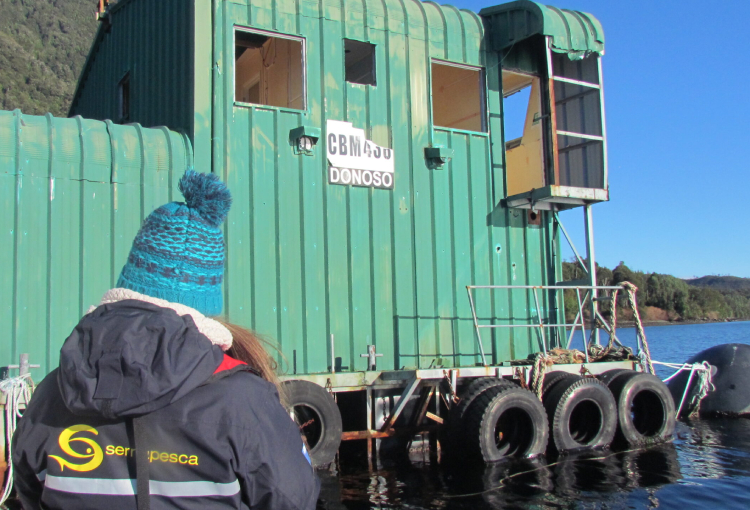 Sernapesca verificó contaminación por residuos de la industria acuícola en la región de Aysén