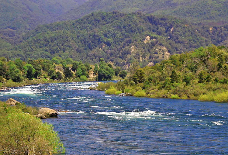 Investigación reveló gran presencia de microplásticos en toda la cuenca del río Biobío 