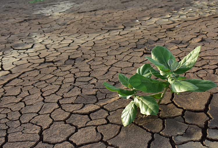 Nuevo informe del IPCC ratifica que cambio climático es una amenaza para el bienestar humano y del planeta