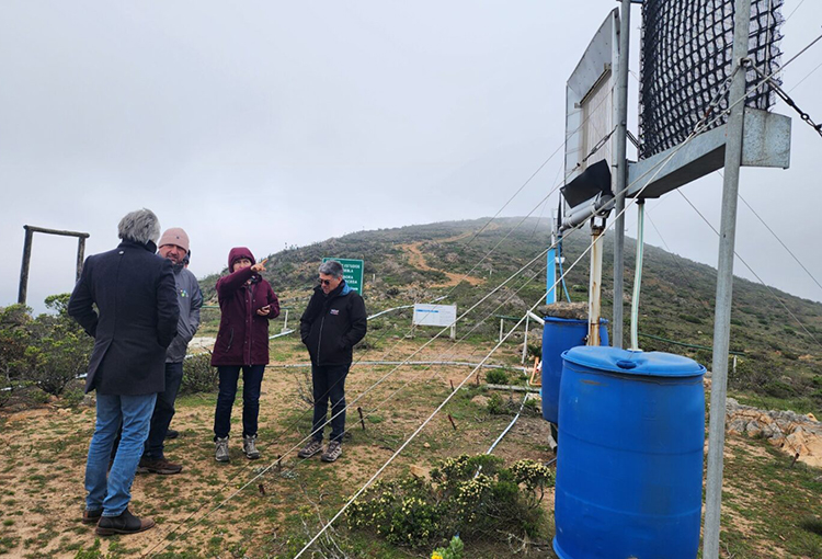 Comenzó proceso de restauración en reserva de la biósfera Fray Jorge en Ovalle