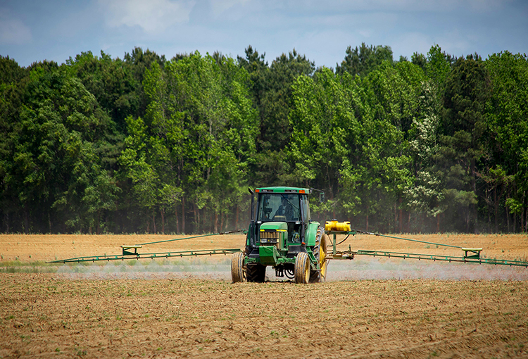 Nueva normativa sobre aplicación de plaguicidas genera críticas en la agroindustria