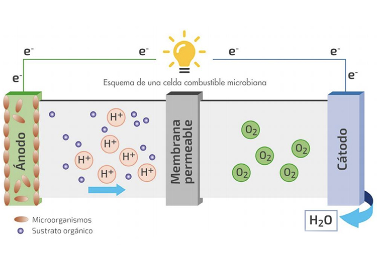 Saneamiento con Energía