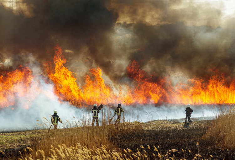 Incendios forestales: calidad del aire ha llegado a niveles de emergencia en zonas afectadas