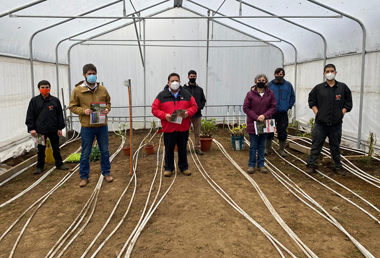 Implementan primer invernadero en Chile calefaccionado con agua termal