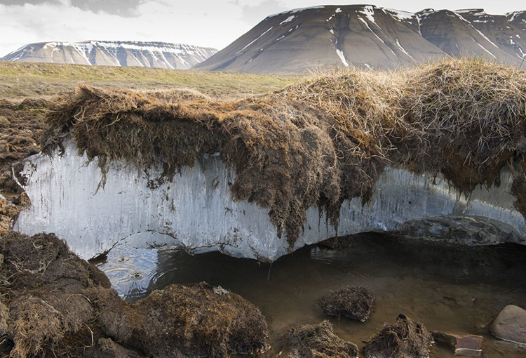 Identifican 27 nuevas amenazas que aceleran y agravan el cambio climático