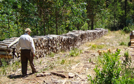 Inventario de acopios de leña entre Maule y Aysén detecta que el 86% de la biomasa está seca