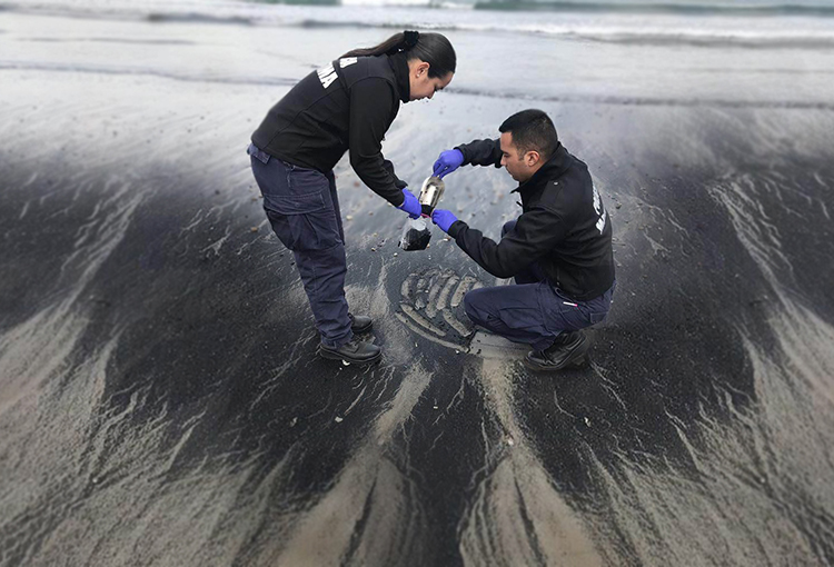 Corte de Apelaciones suspende ingreso y descargas de carbón en bahía de Quintero