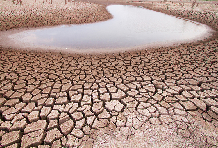 Científicos: cambio climático es generalizado, más intenso y urge reducir emisiones de GEI