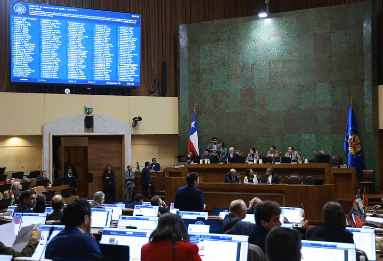 Diputados aprueban informe que acusa protección insuficiente de campo dunar Concón-Reñaca