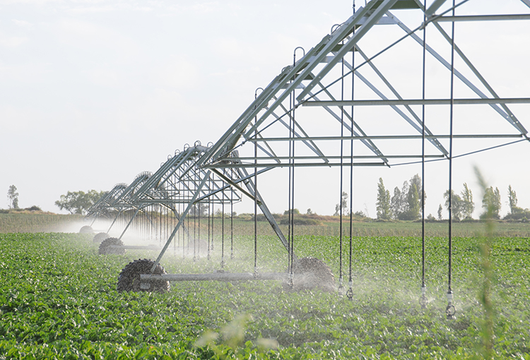 Lanzan programa de fomento a la Agricultura 4.0 para afrontar el cambio climático