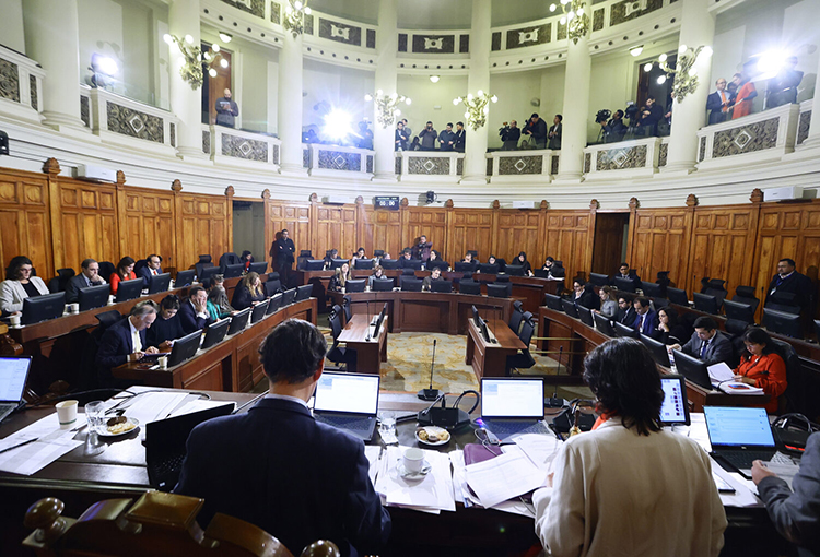 Estas son las bases medioambientales incluidas en el anteproyecto constitucional