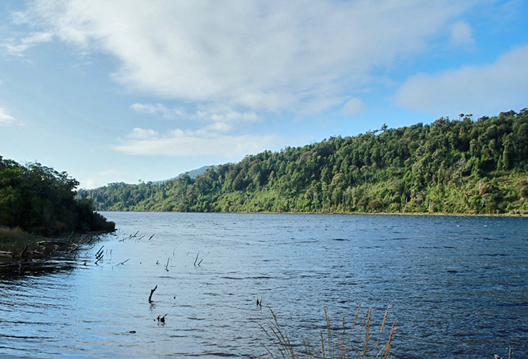 Lagos Huillinco y Cucao serán parte de nuevo santuario de la naturaleza en Chiloé