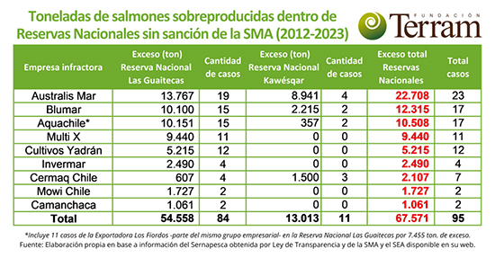 Tabla Terram 550